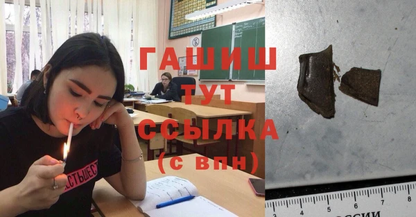 apvp Алзамай