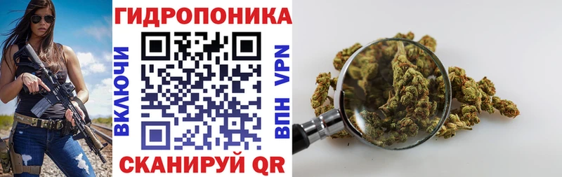 MEGA зеркало  Воронеж  Марихуана марихуана 
